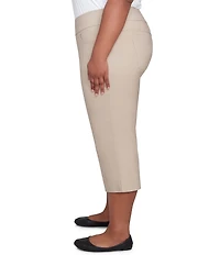 Ruby Rd. Plus Size Stretch Straight Leg Pull-On Capri Pants
