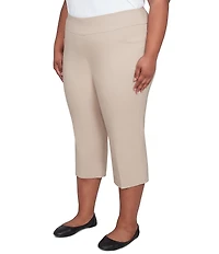 Ruby Rd. Plus Size Stretch Straight Leg Pull-On Capri Pants