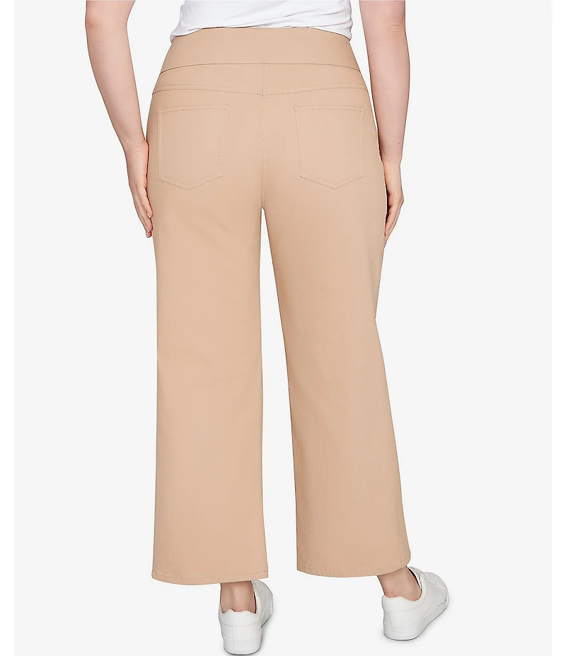 Ruby Rd. Plus Size Wide Leg Pull-On Pants