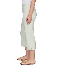 Ruby Rd. Stretch Straight Leg Pull-On Capri Pants