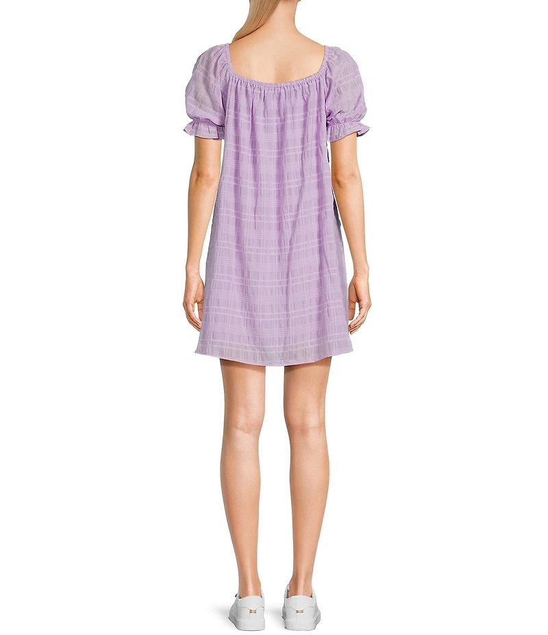 Sadie & Sage Sheer Textured Drawstring Scoop Neck Short Ruffle Sleeve Dress