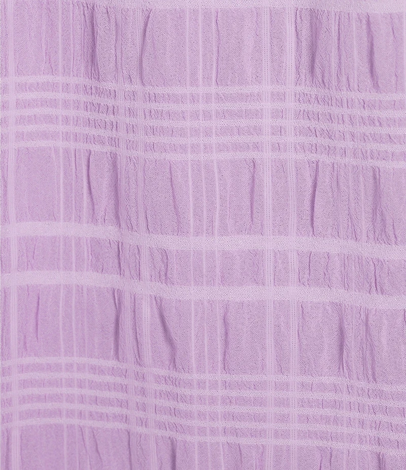 Sadie & Sage Sheer Textured Drawstring Scoop Neck Short Ruffle Sleeve Dress