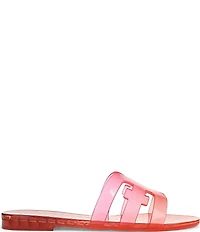 Sam Edelman Bay Ombre Jelly Double E Signature Logo Slide Sandals