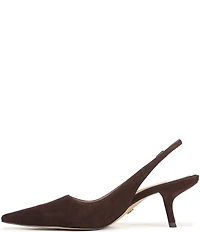 Sam Edelman Bianka Suede Pointed Toe Slingback Pumps