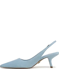 Sam Edelman Bianka Suede Pointed Toe Slingback Pumps