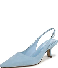 Sam Edelman Bianka Suede Pointed Toe Slingback Pumps