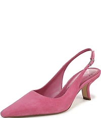 Sam Edelman Bianka Suede Pointed Toe Slingback Pumps