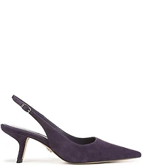 Sam Edelman Bianka Suede Pointed Toe Slingback Pumps