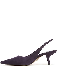 Sam Edelman Bianka Suede Pointed Toe Slingback Pumps