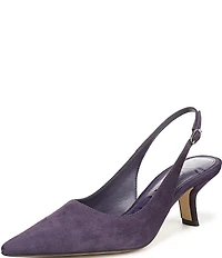 Sam Edelman Bianka Suede Pointed Toe Slingback Pumps