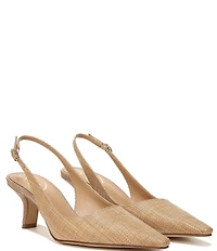 Sam Edelman Bianka Raffia Pointed Toe Slingback Pumps