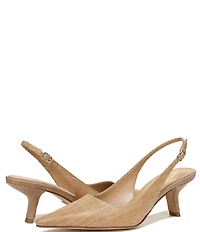 Sam Edelman Bianka Raffia Pointed Toe Slingback Pumps