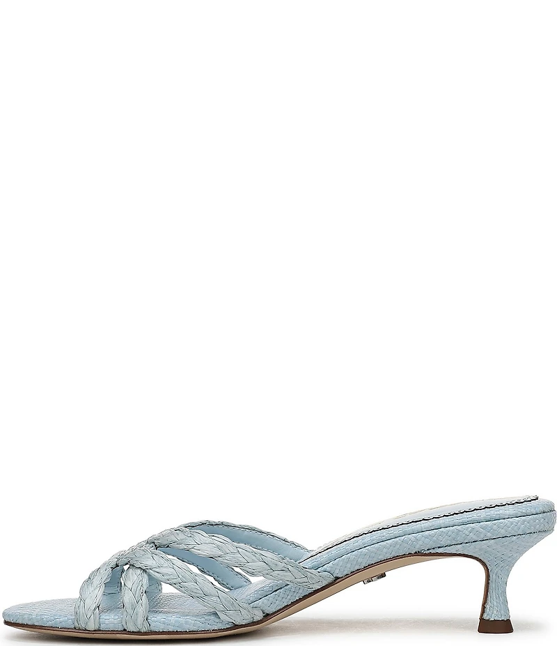 Sam Edelman Camille Braided Raffia Dress Slide Sandals