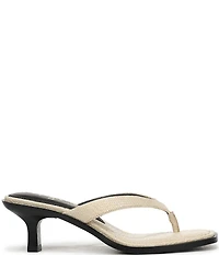 Sam Edelman Dollie Woven Raffia Kitten Heel Thong Sandals