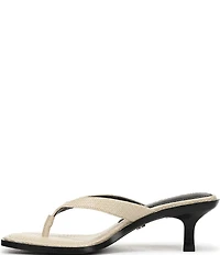 Sam Edelman Dollie Woven Raffia Kitten Heel Thong Sandals