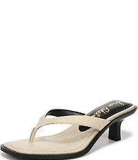 Sam Edelman Dollie Woven Raffia Kitten Heel Thong Sandals