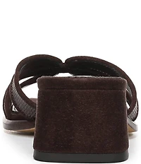 Sam Edelman Farrin Raffia and Suede Double E Logo Slide Sandals