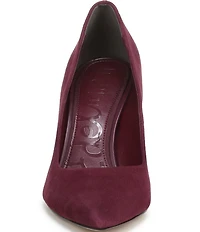 Sam Edelman Hazel Suede Pointed Toe Stiletto Pumps