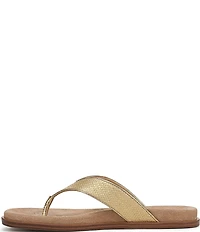 Sam Edelman Lila Metallic Basket Weave Raffia Thong Sandals