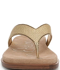 Sam Edelman Lila Metallic Basket Weave Raffia Thong Sandals