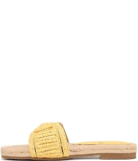 Sam Edelman Miya Woven Raffia Slide Sandals