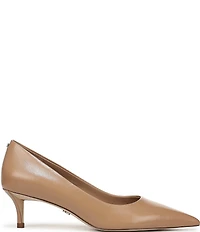 Sam Edelman Summer Leather Pointed Toe Kitten Heel Pumps