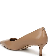 Sam Edelman Summer Leather Pointed Toe Kitten Heel Pumps