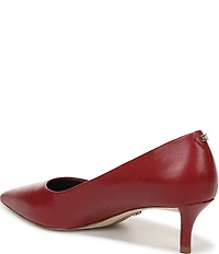 Sam Edelman Summer Leather Pointed Toe Kitten Heel Pumps