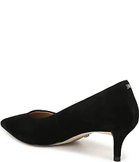 Sam Edelman Summer Suede Pointed Toe Kitten Heel Pumps