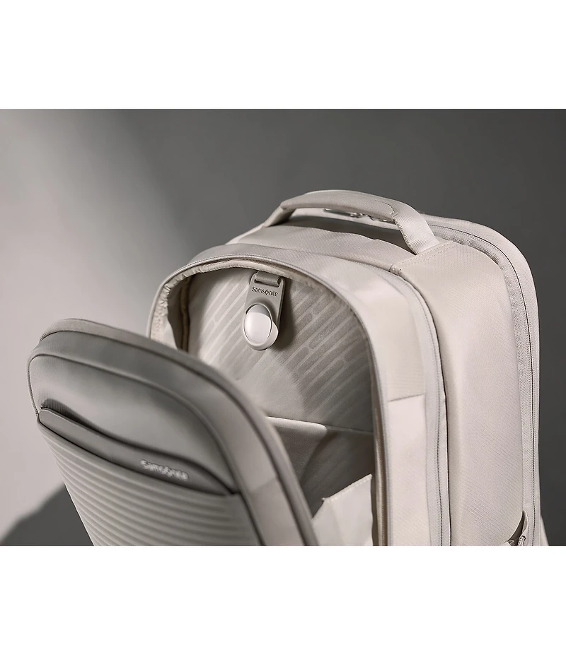 Samsonite Paralux Collection 2-1 Travel Backpack