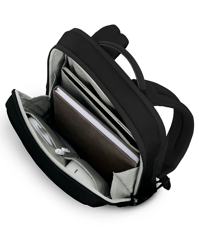 Samsonite Paralux Collection 2-1 Travel Backpack