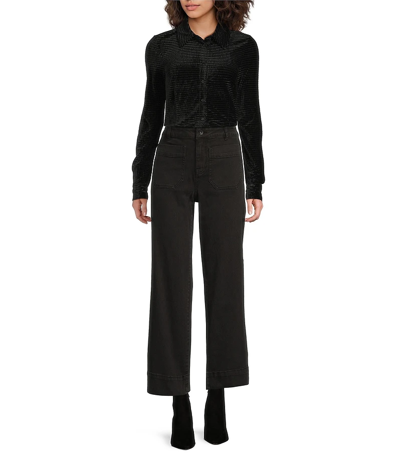 Sanctuary Fitted Collard Button Down Long Sleeve Velvet Top