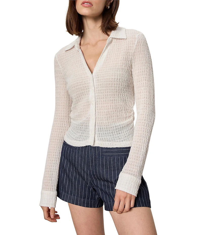 Sanctuary Juno Textured Spread Collar Long Sleeve Button Front Knit Top