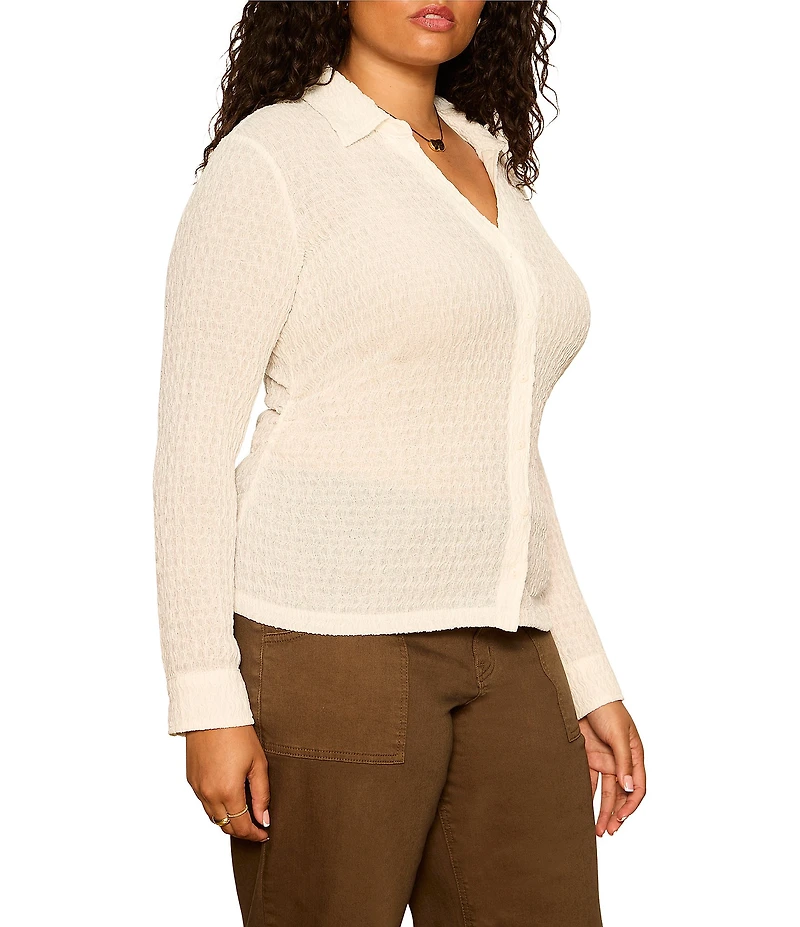 Sanctuary Plus Size Juno Textured Spread Collar Long Sleeve Button Front Knit Top