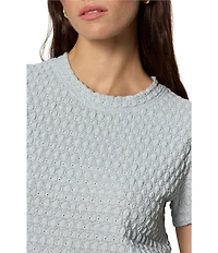 Sanctuary Pucker Up Perfect Tee Crew Neck Short Sleeve Textured Bubble Knit Top