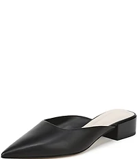Sarto by Franco Sarto Bennet Leather Pointed Toe Block Heel Mules