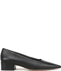 Sarto by Franco Sarto Boa Leather Pointed Toe Block Heel Pumps