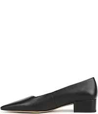Sarto by Franco Sarto Boa Leather Pointed Toe Block Heel Pumps