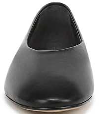 Sarto by Franco Sarto Flexa Dovie Leather Ballet Flats