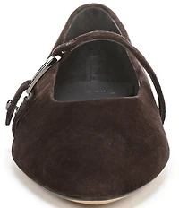 Sarto by Franco Sarto Rubina Suede Pointed Toe Mary Jane Ballet Flats