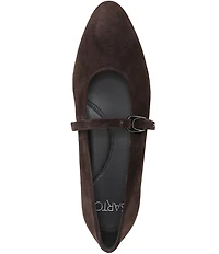 Sarto by Franco Sarto Rubina Suede Pointed Toe Mary Jane Ballet Flats