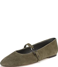 Sarto by Franco Sarto Rubina Suede Pointed Toe Mary Jane Ballet Flats