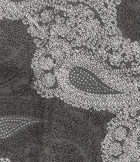 SASSO + SMYTH Embroidered Paisley Evening Wrap