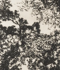SASSO + SMYTH Toile Trees Fringe Detail Scarf Wrap