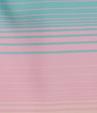 SAXX Hazy Stripe Oh Buoy 2N1 5#double; Inseam Slim Fit Volley Swim Trunks