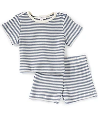 Scene&Heard Baby Boys Knit Stripe Short Sleeve Tee & Shorts Set