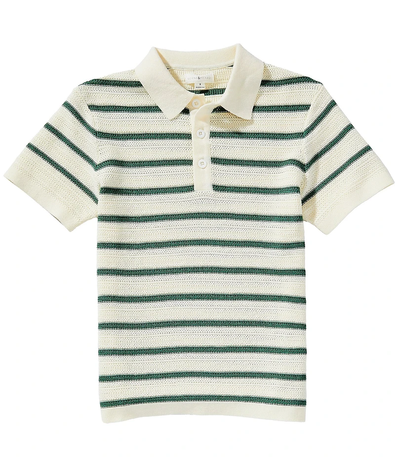 Scene&Heard Big Boys Stripe Sweater Polo