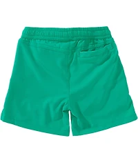 Class Club Little Boys Drawstring Elastic Waist Lined Synthetic Shorts