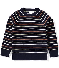 Scene&Heard Little Boys Stripe Sweater