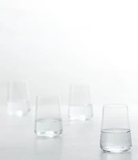Schott Zwiesel MioVino Tumbler Glasses, Set of 4